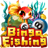 Câu Cá Bingo iwim